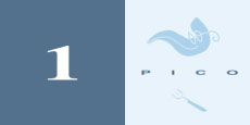 1 Pico
